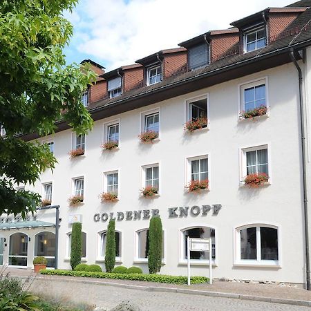Hotel Goldener Knopf Bad Säckingen Kültér fotó